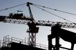 Crane