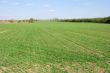 Field