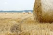 Haybails