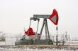 Oil well