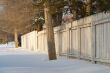 Winter Fence