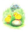 Two happy chicken