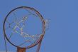 Basketball Goal