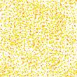 sight test