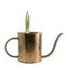 Watering Can with Sprouting Bulb