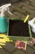 sowing seeds