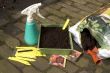 sowing seeds