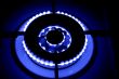blue fire of the gas burner