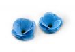 Two blue flowers intended for SPA