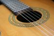 macro of acoustic guitar