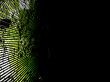 ray background