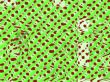 Abstract green background