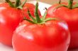Delicious Tomatoes.