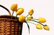 basket with yellow tulips