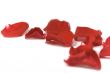 red petals