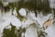 face stucco