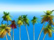 tropical beach