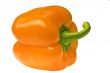 orange pepper