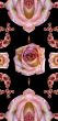 Collage of roses