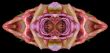 Collage of roses