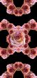 Collage of roses