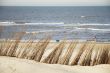 beach landscape