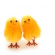 couple easter chickens