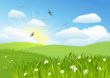 Beautiful sun day