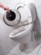 Clock in toilet
