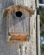 Homemade Birdhouse