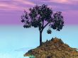 tree on island