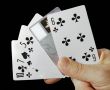 trump-card