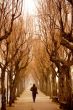Alley