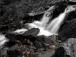 Water Stream