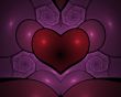 Heart shape and roses