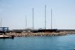 Harbor