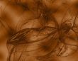 Fractal 11 - golden