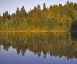 Reflections of autumn.