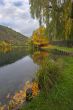 Autumn leaves in cold water.