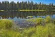 Boggy coast.
