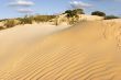 Sandy waves.