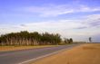 Road in prairie