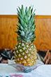 Pine-Apple