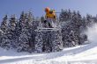 Snow Skier