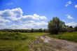 Rural road with puddle
