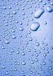 Fresh & Wet