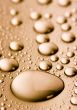 Fresh & Wet