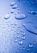 Fresh & Wet