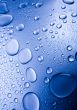 Fresh & Wet