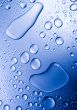 Fresh & Wet